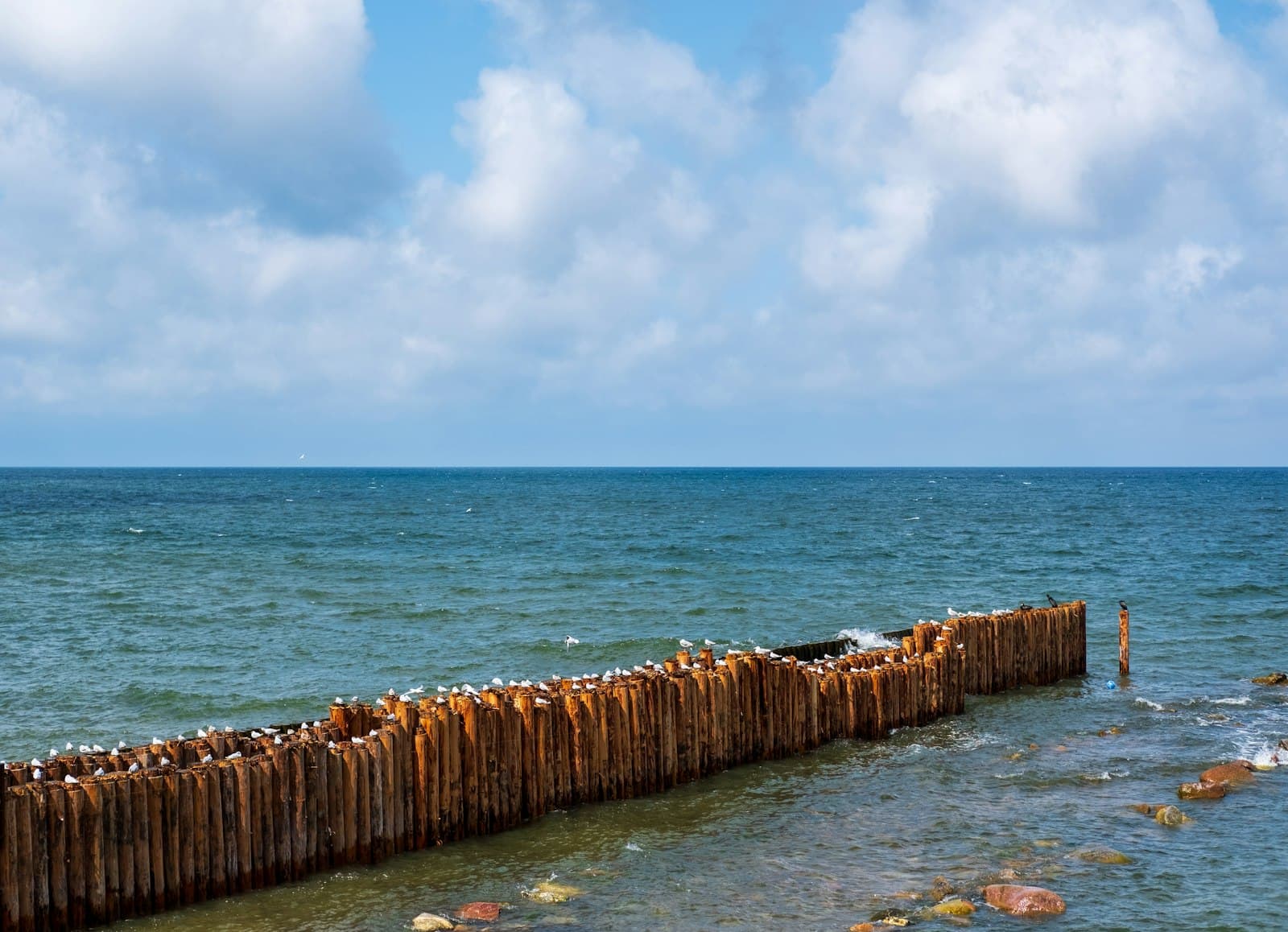 Timber groyne line running out through shallow water