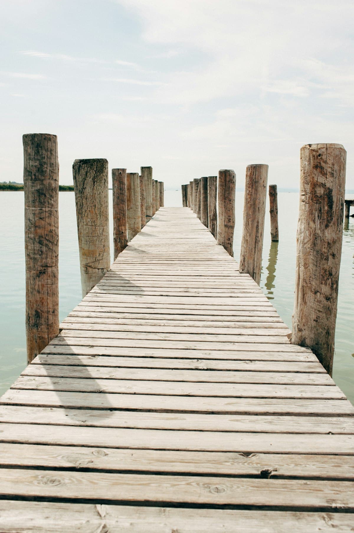 New timber jetty decking with piling rows on calm water