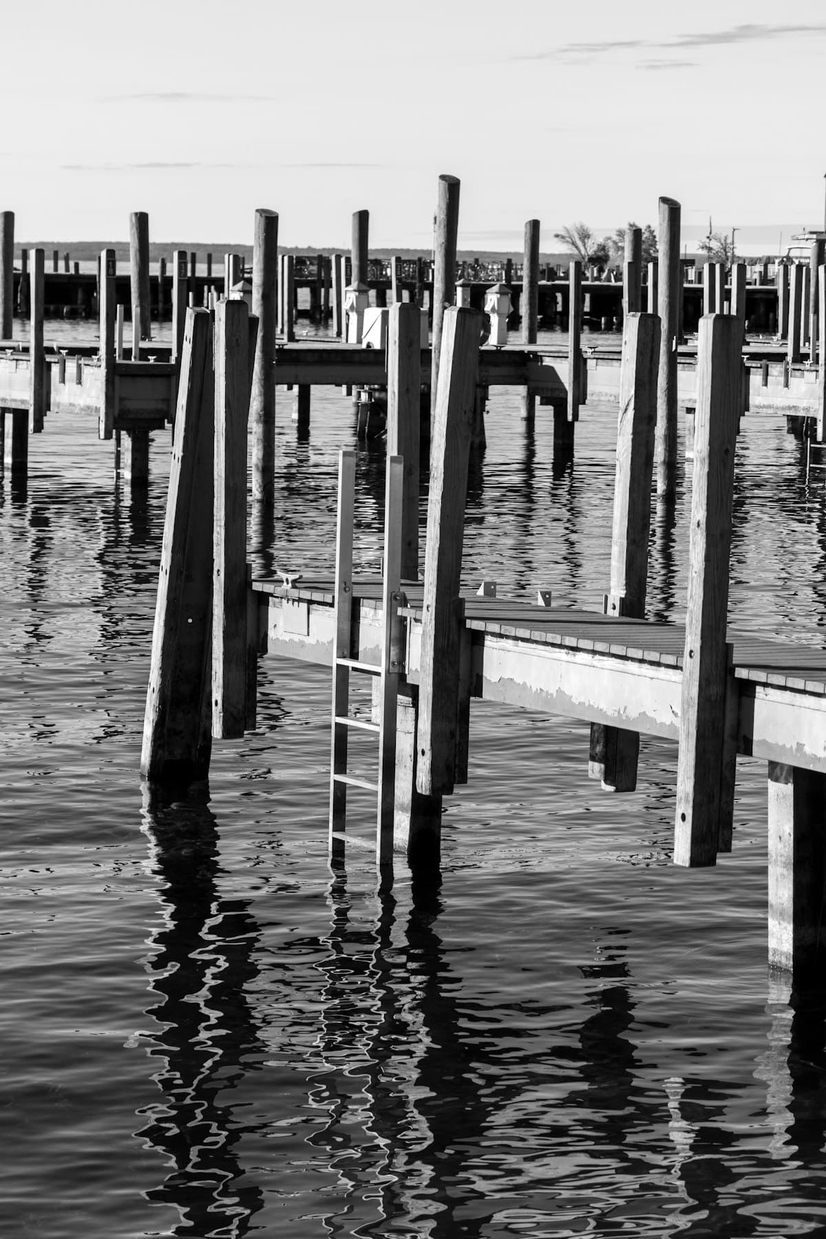 Rows of berth pilings and dock frames in still water